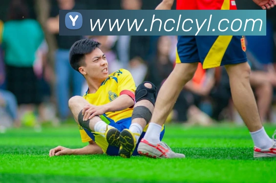 华体app登录入口发展历程